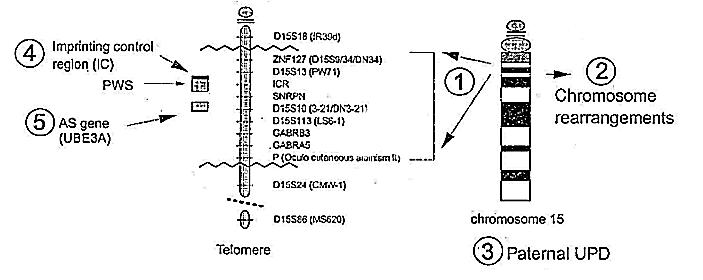 chm15n.jpg (31380 bytes)